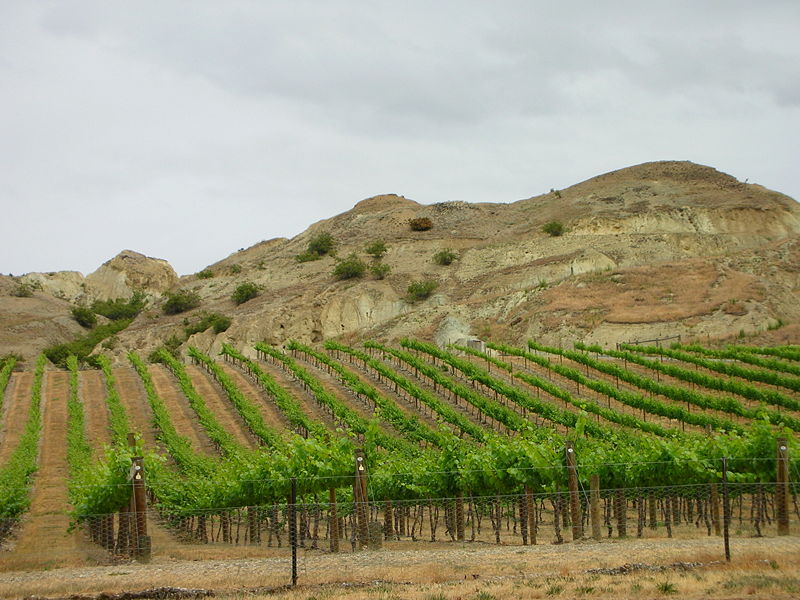 Central Otago