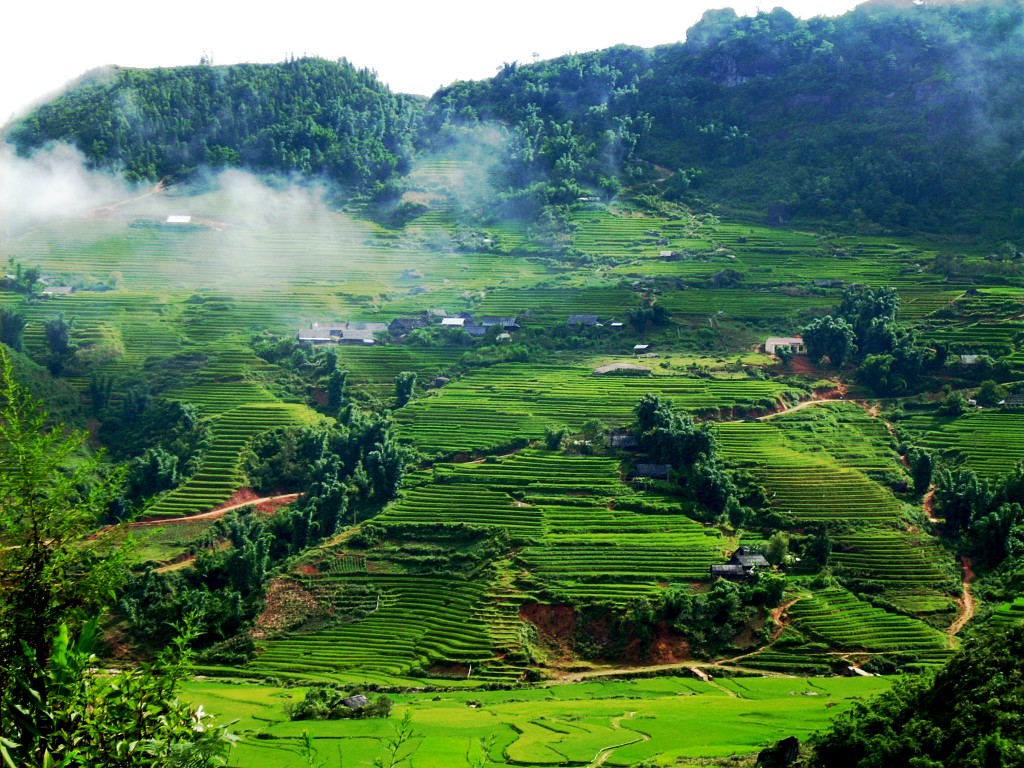 Sapa and northern