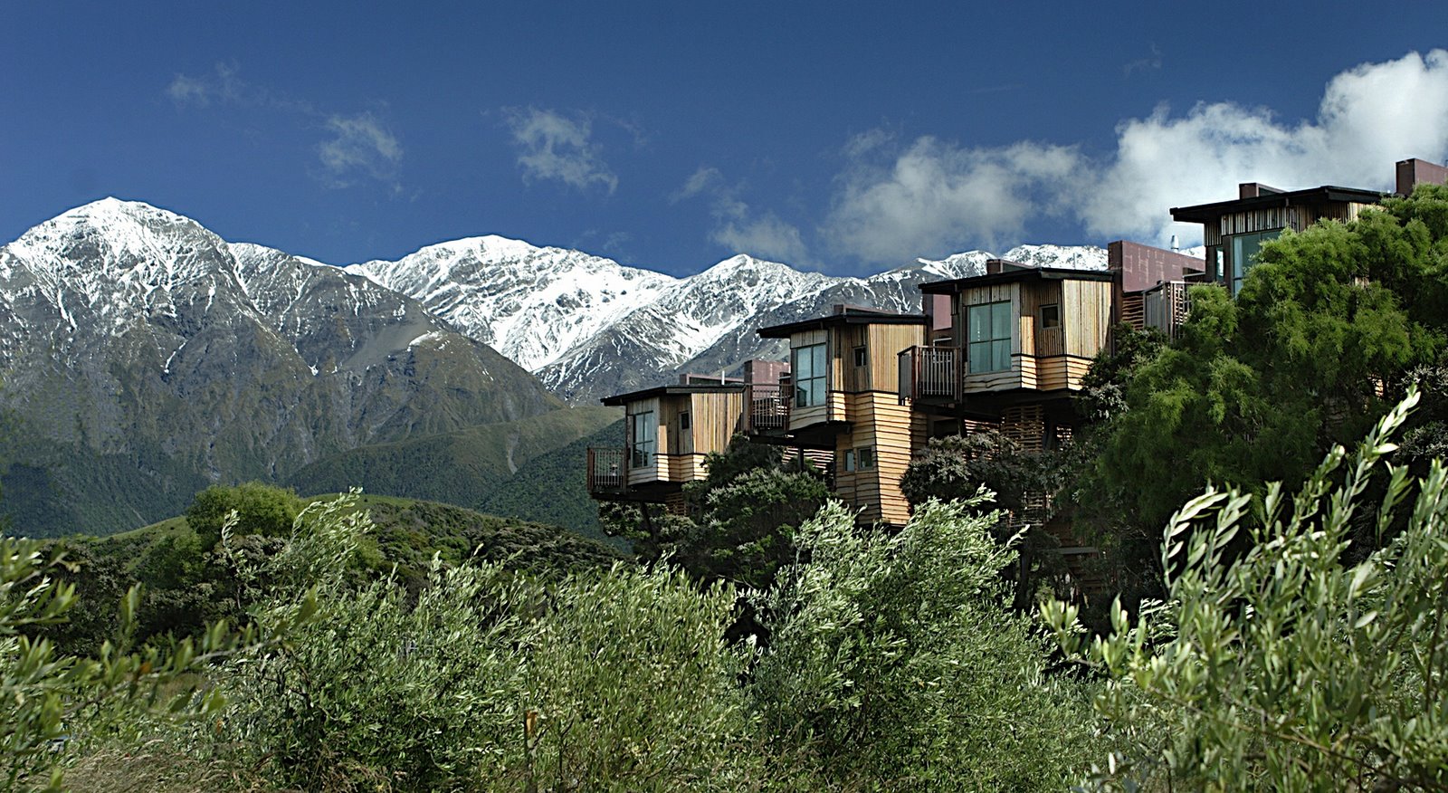 Hapuku Tree Houses,New Zealand Hapuku Tree Houses,New Zealand