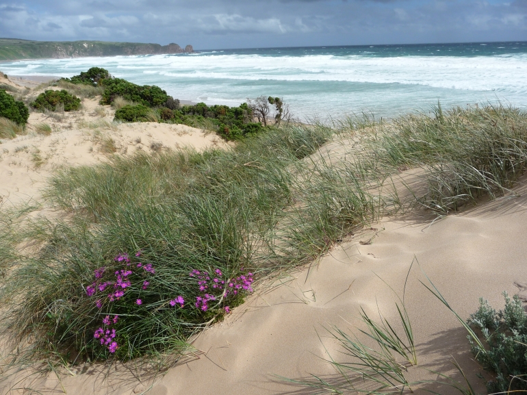 Phillip Island Phillip Island
