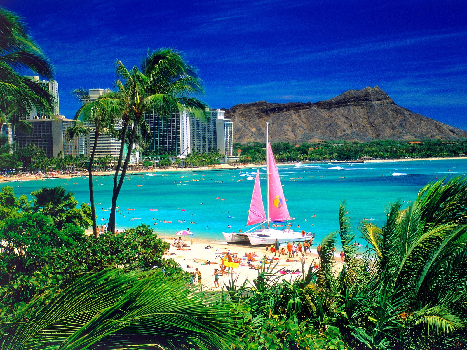 Heading to Hawaii Heading to Hawaii