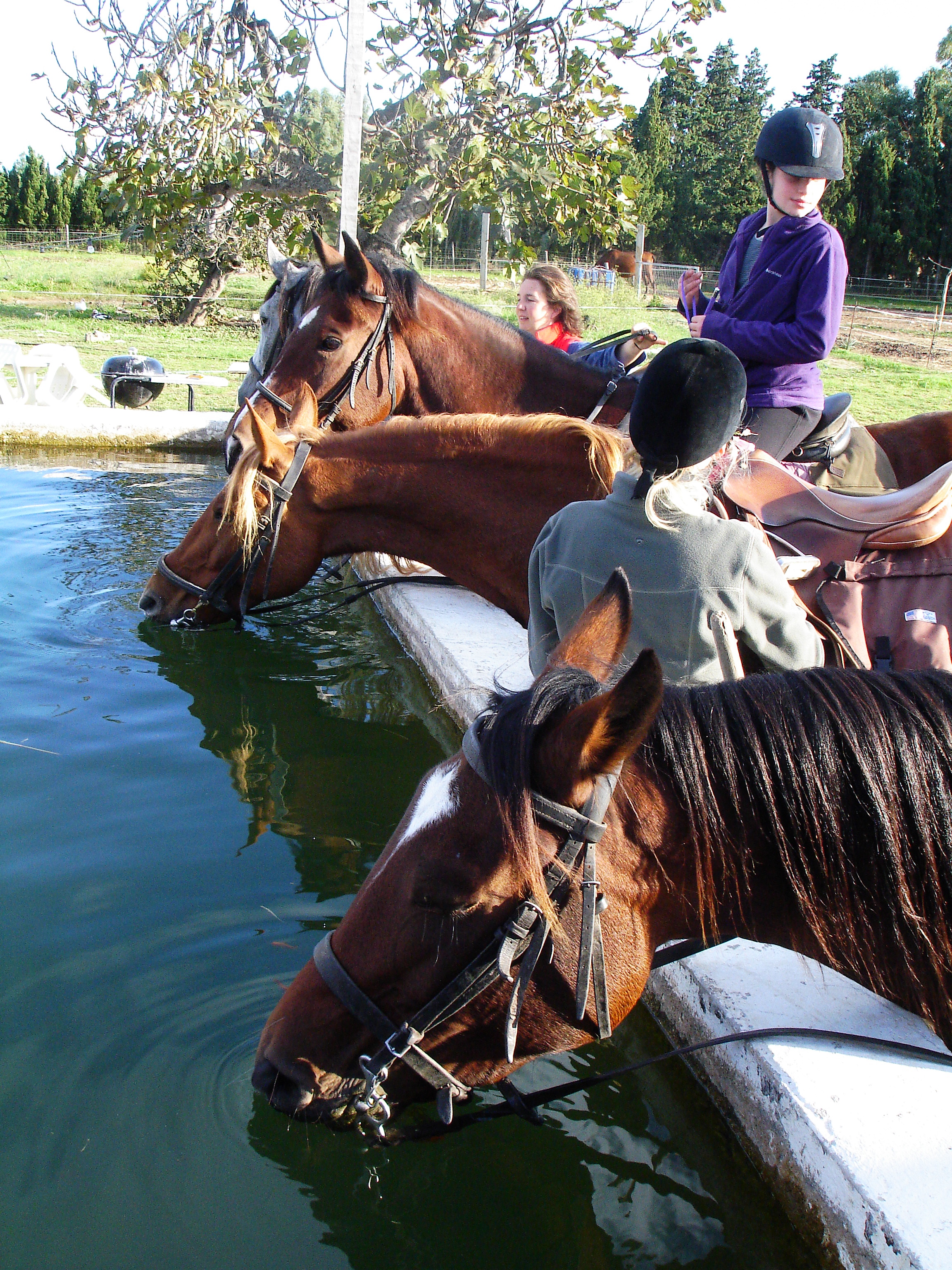 Horse-Riding