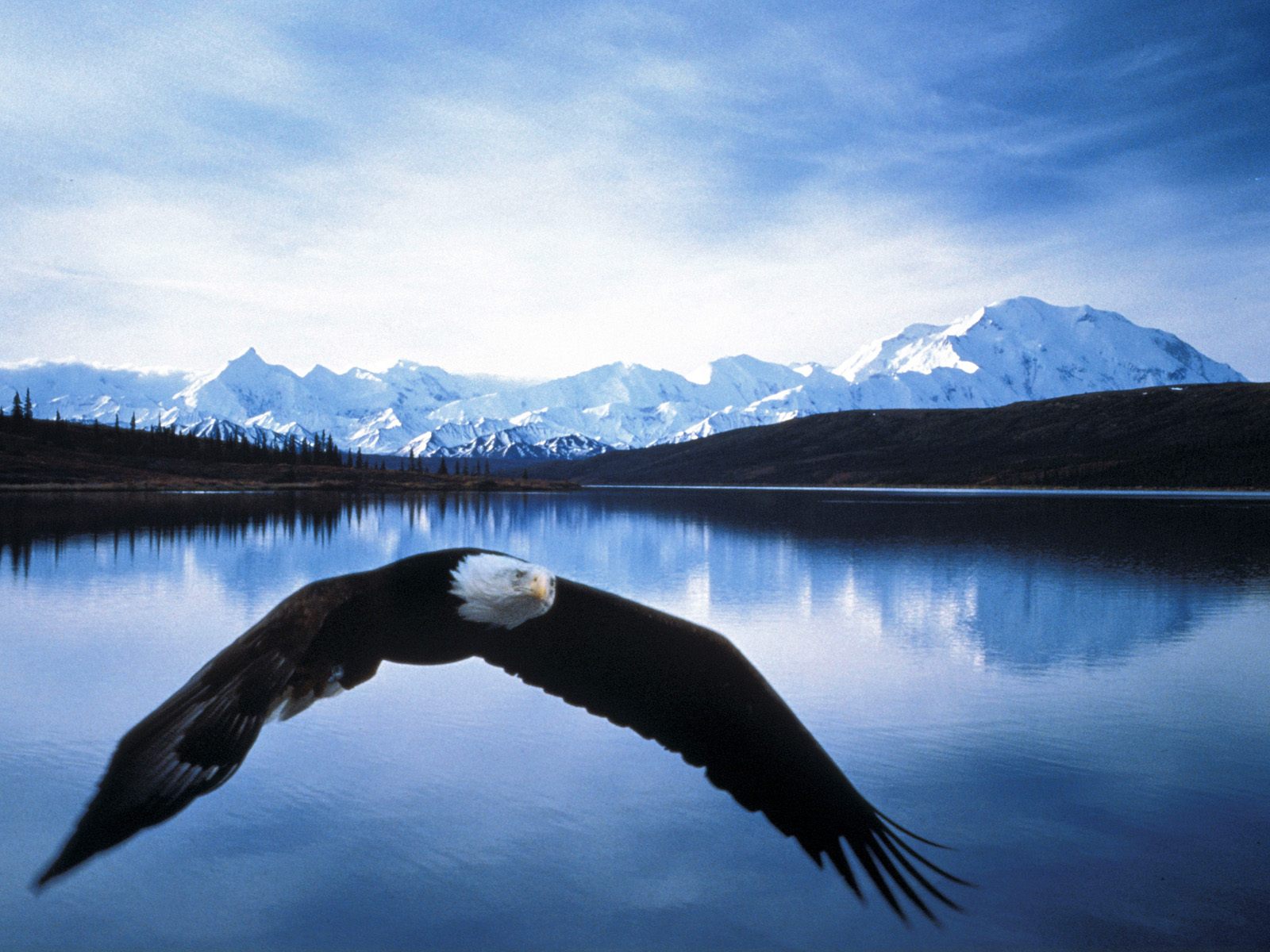 The Top 5 National Parks in Alaska The Top 5 National Parks in Alaska