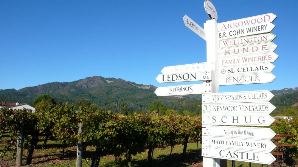 Wine Country Wine Country