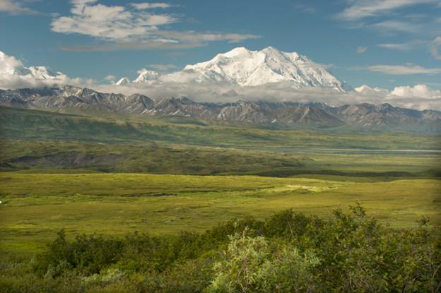 denali national park denali national park