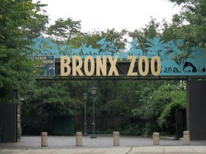 Bronx_Zoo