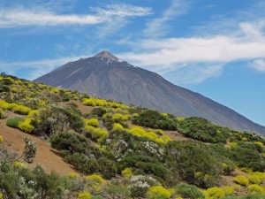 Mount Teide