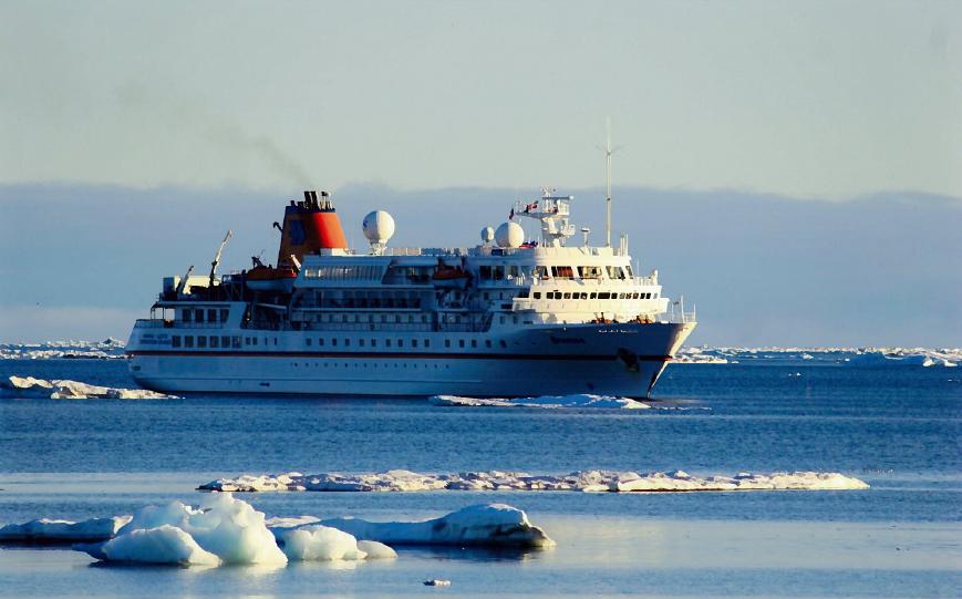What cruise lines offer arctic cruises?
