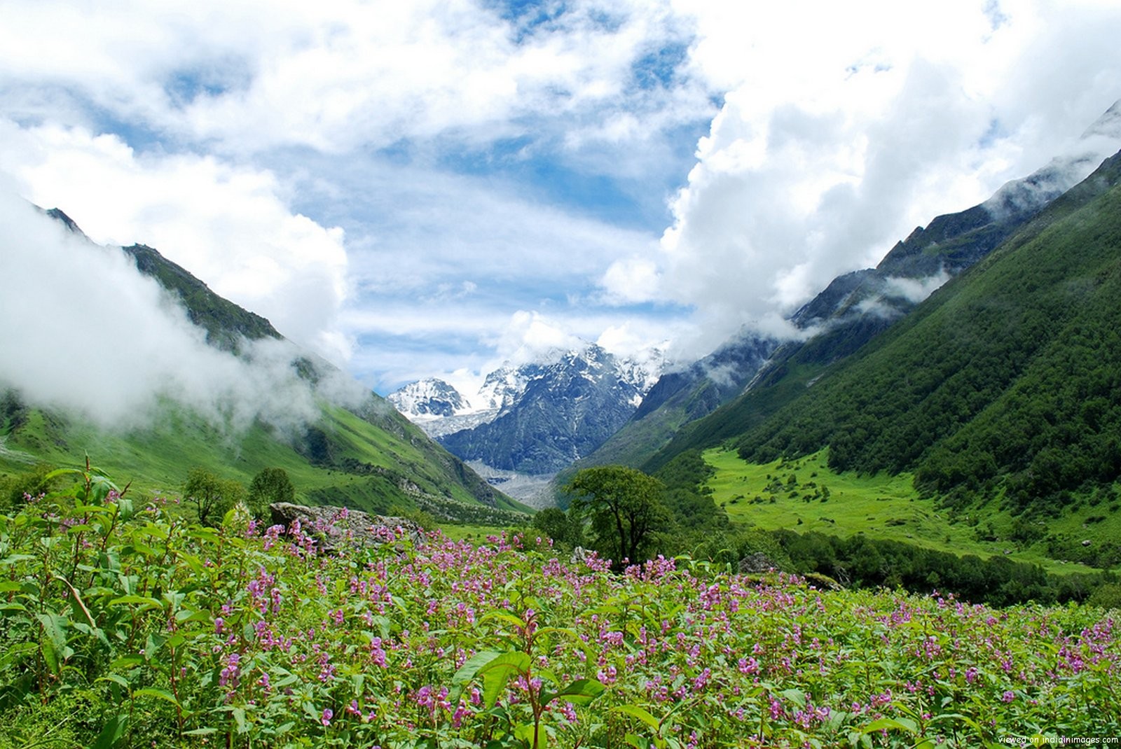 Himalayan Trek to the Valley of Flowers