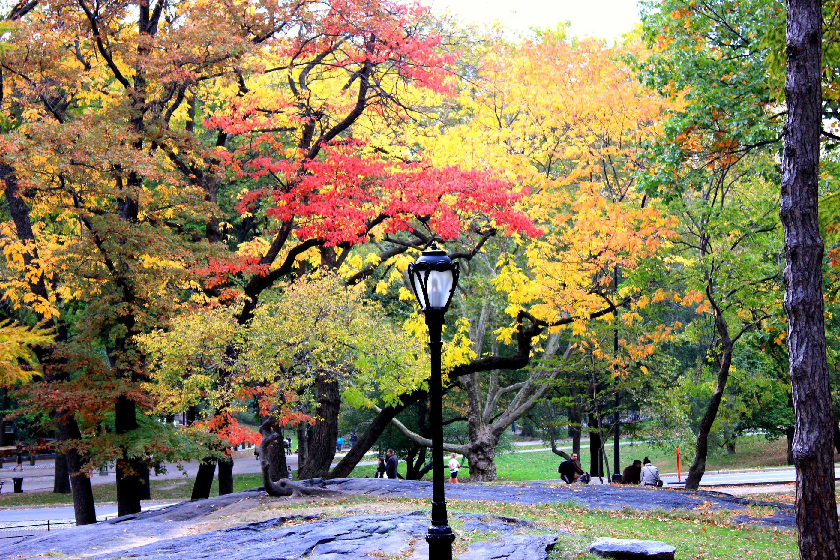 best fall destinations east coast best fall destinations east coast