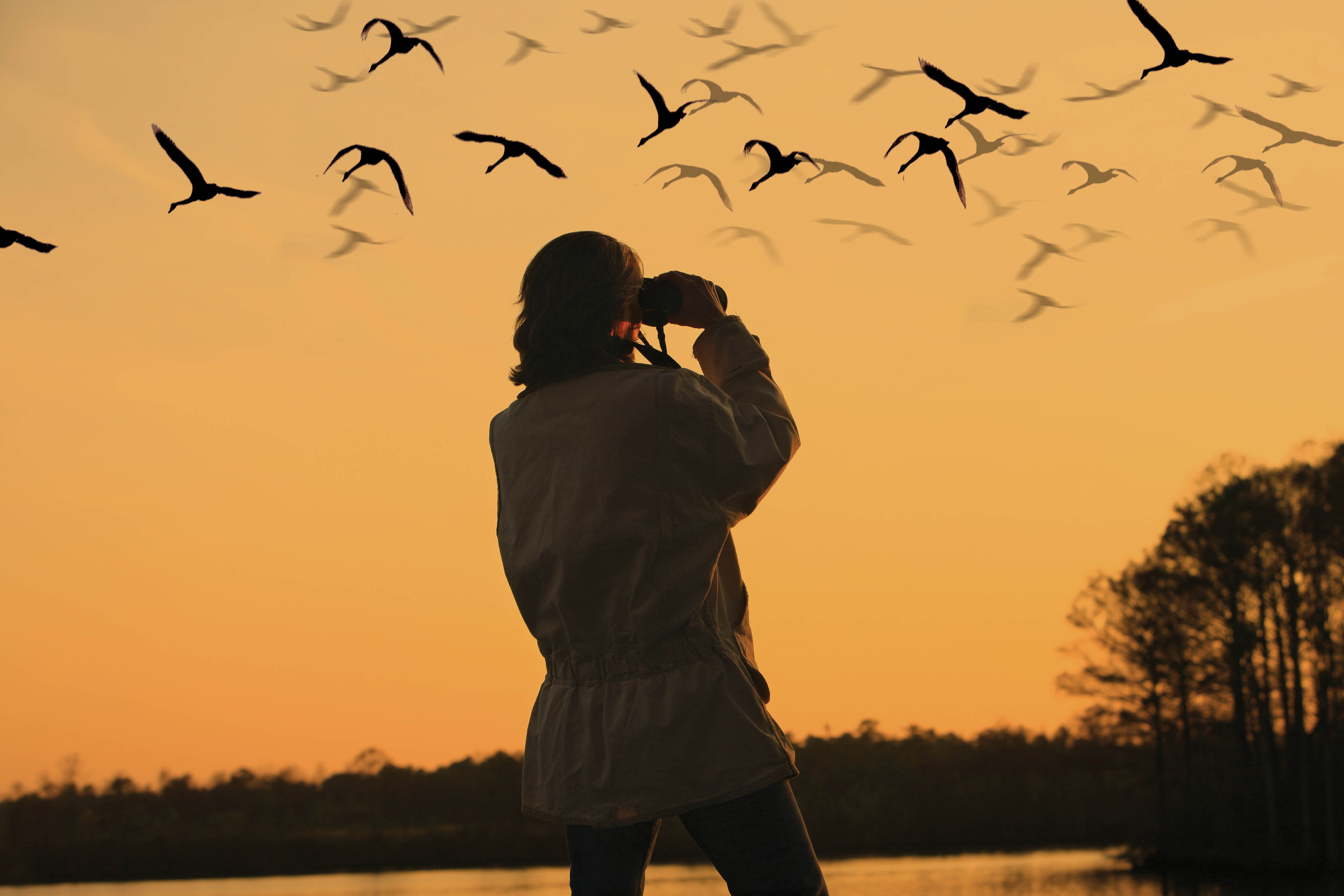 5 Best Places in the World for Birding