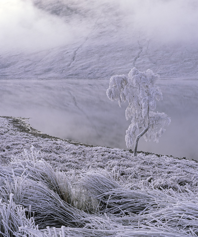 Embrace or Baulk the Baltic Temperatures