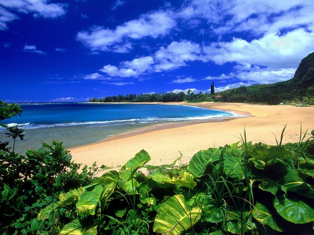 Island of Kauai