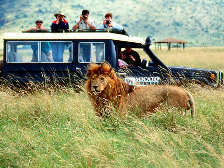 Safari Vacation