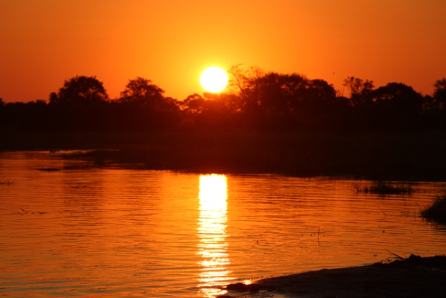 A Botswana Safari adventure